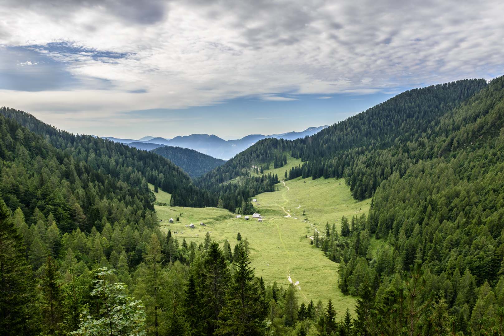 Slovenie 201907 51 HR © Peter Trimbos