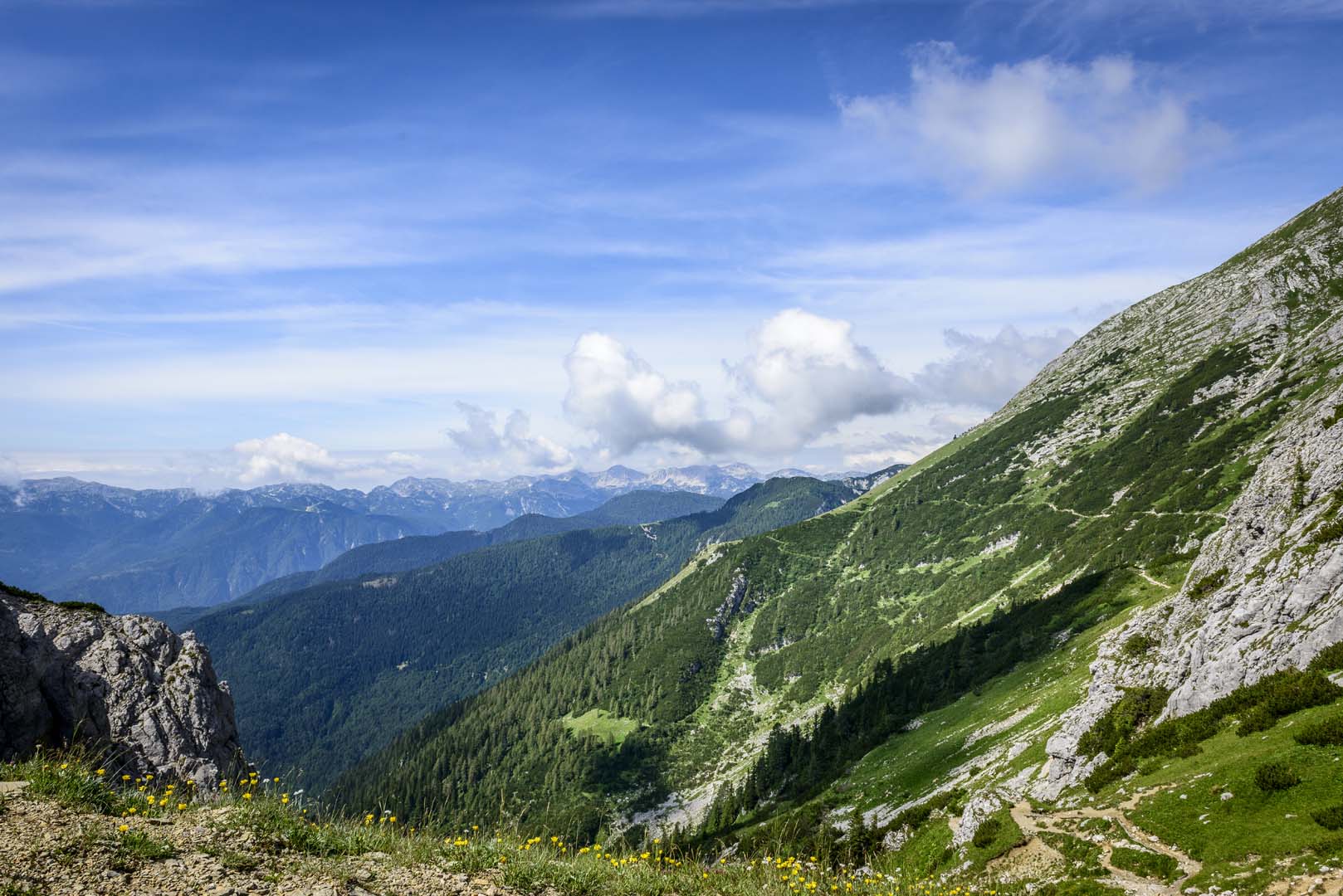 Slovenie 201907 61 HR © Peter Trimbos